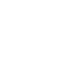 World History