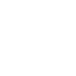 Ancient History